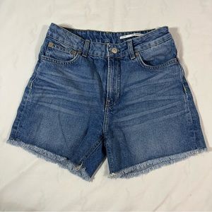 Zara Mom shorts